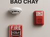 PCCC QUỐC TÙNG THI CÔNG HỆ THỐNG BÁO CHÁU CHO RAU XANH HIỆP AN LÂM ĐỒNG