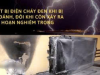 Các biện pháp chống sét bảo vệ thiết bị điện tử mùa mưa hiệu quả