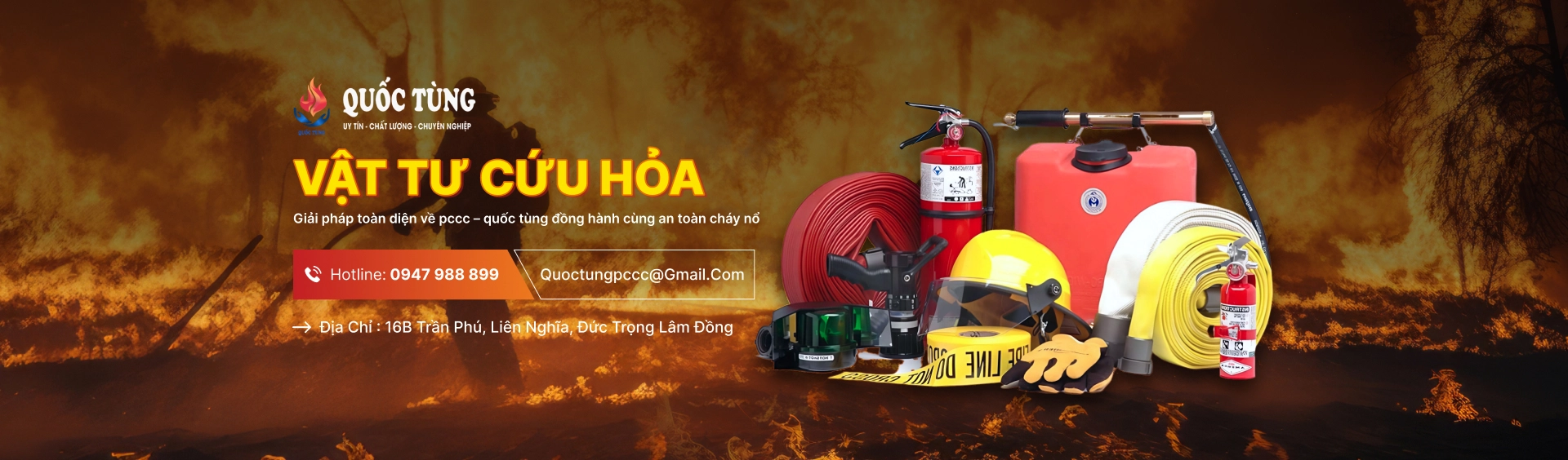 hình ảnh 1