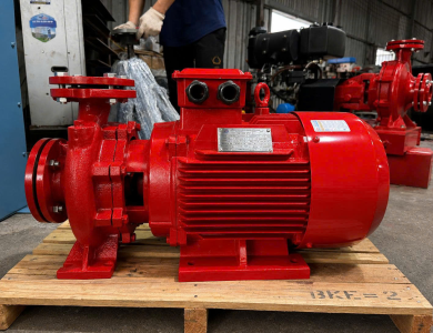 Máy Bơm Chữa Cháy Điện 30HP (22kw) HLR65-200/22