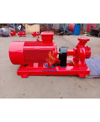 MÁY BƠM TRỤC NGANG ĐỘNG CƠ ĐIỆN